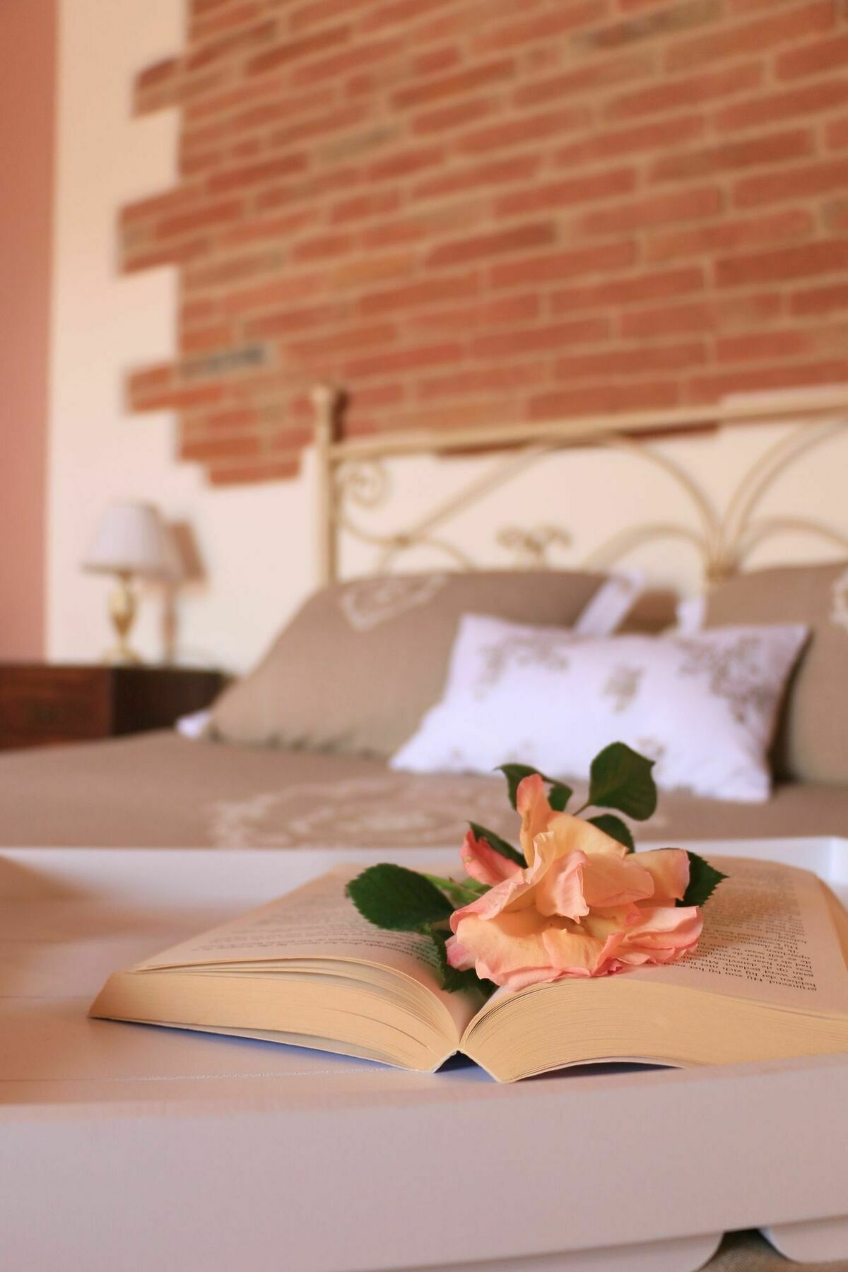 Terra Di Cortona Villa Kültér fotó